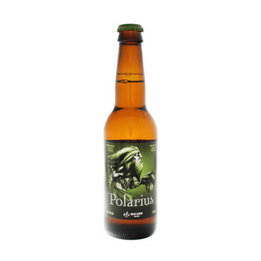 Polarius - Belgo Sapiens Brewers - Ma Bière Box